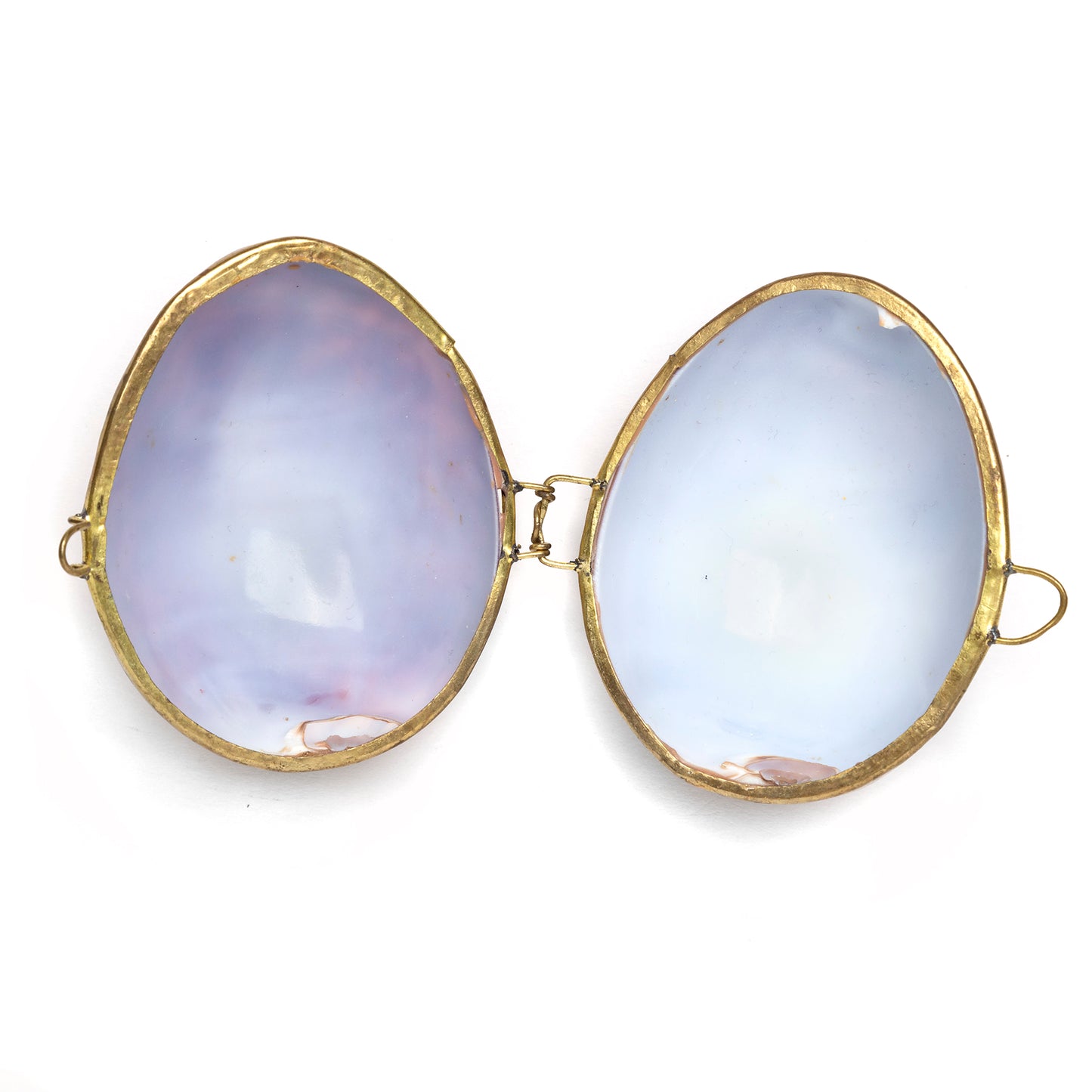 Seashell Box with Gold Clasp