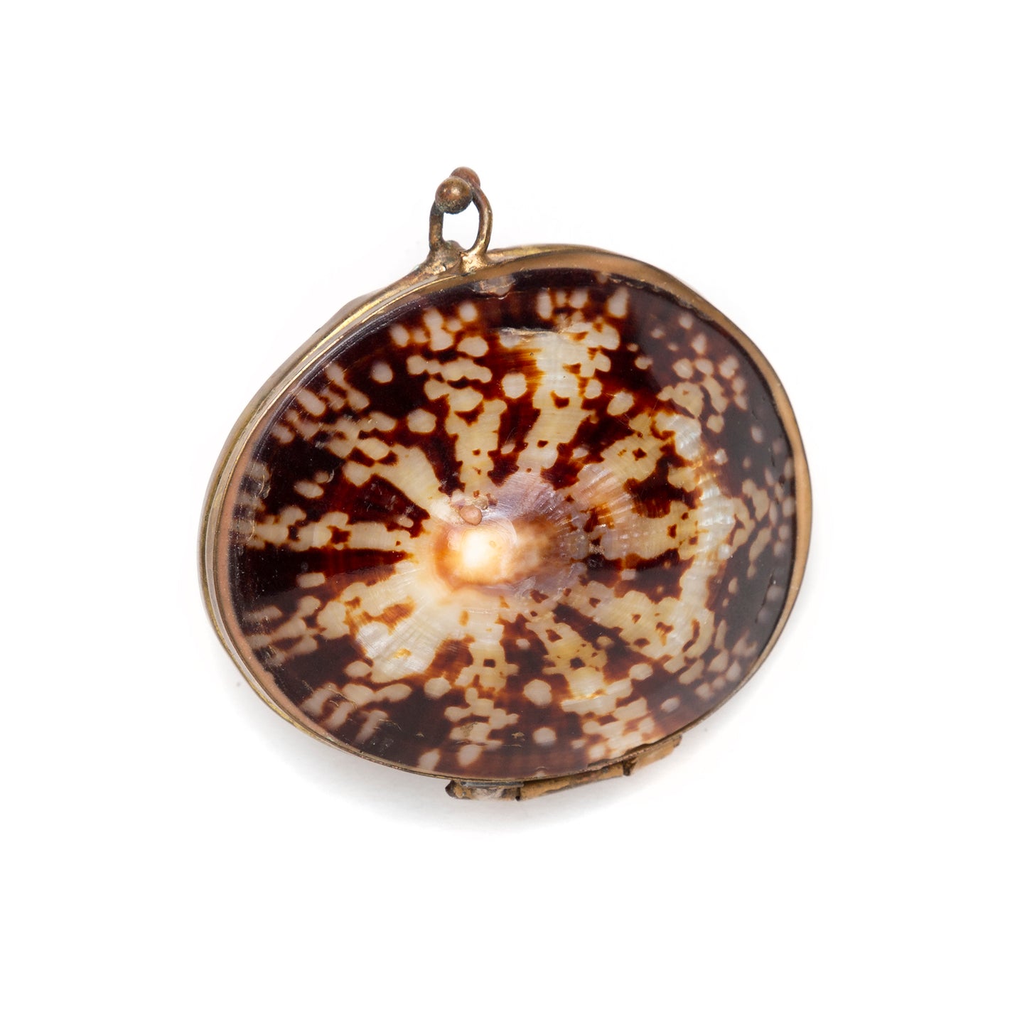 Victorian Seashell Box with Gold Clasp