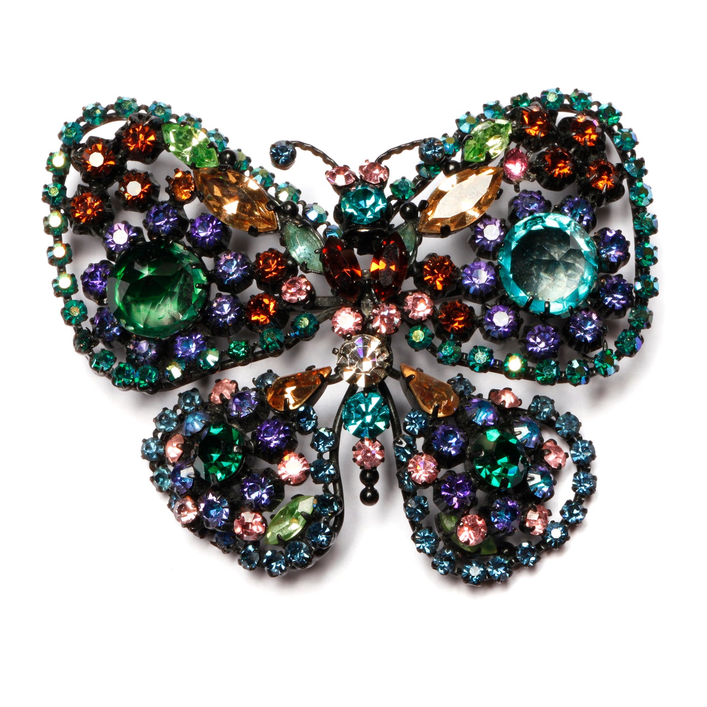 Large Austria Butterfly