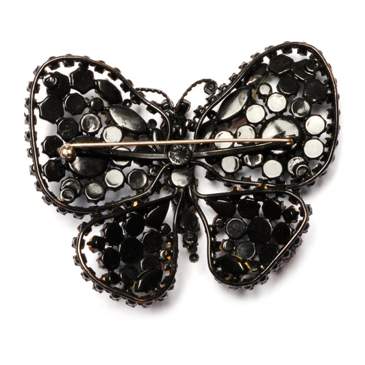 Large Austria Butterfly