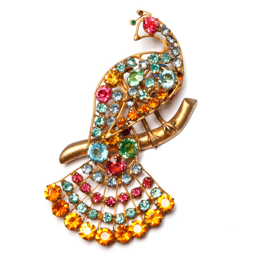 Wired Peacock Brooch