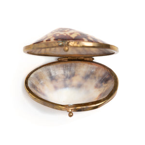 Victorian Seashell Box with Gold Clasp